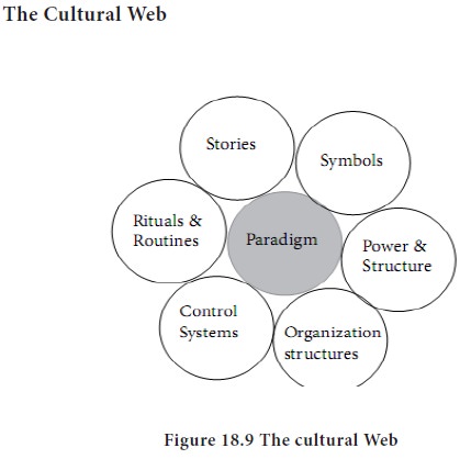 what is cultural web