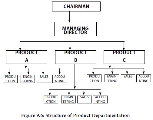 product departmentalization advantages and disadvantages